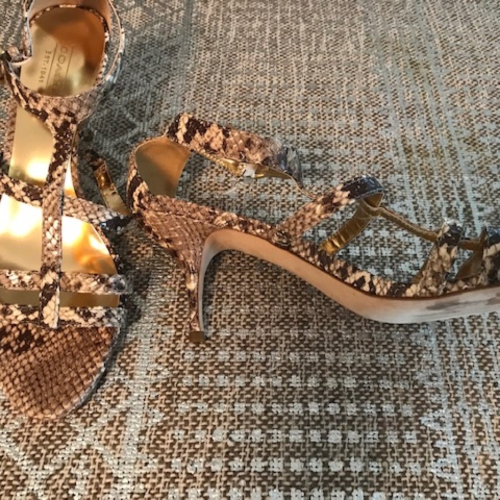 Coach kitten heel snake sandals